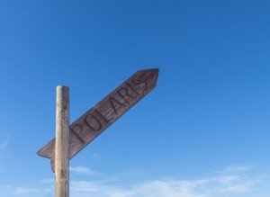 Signpost with writing Polaris directing north against blue sky.